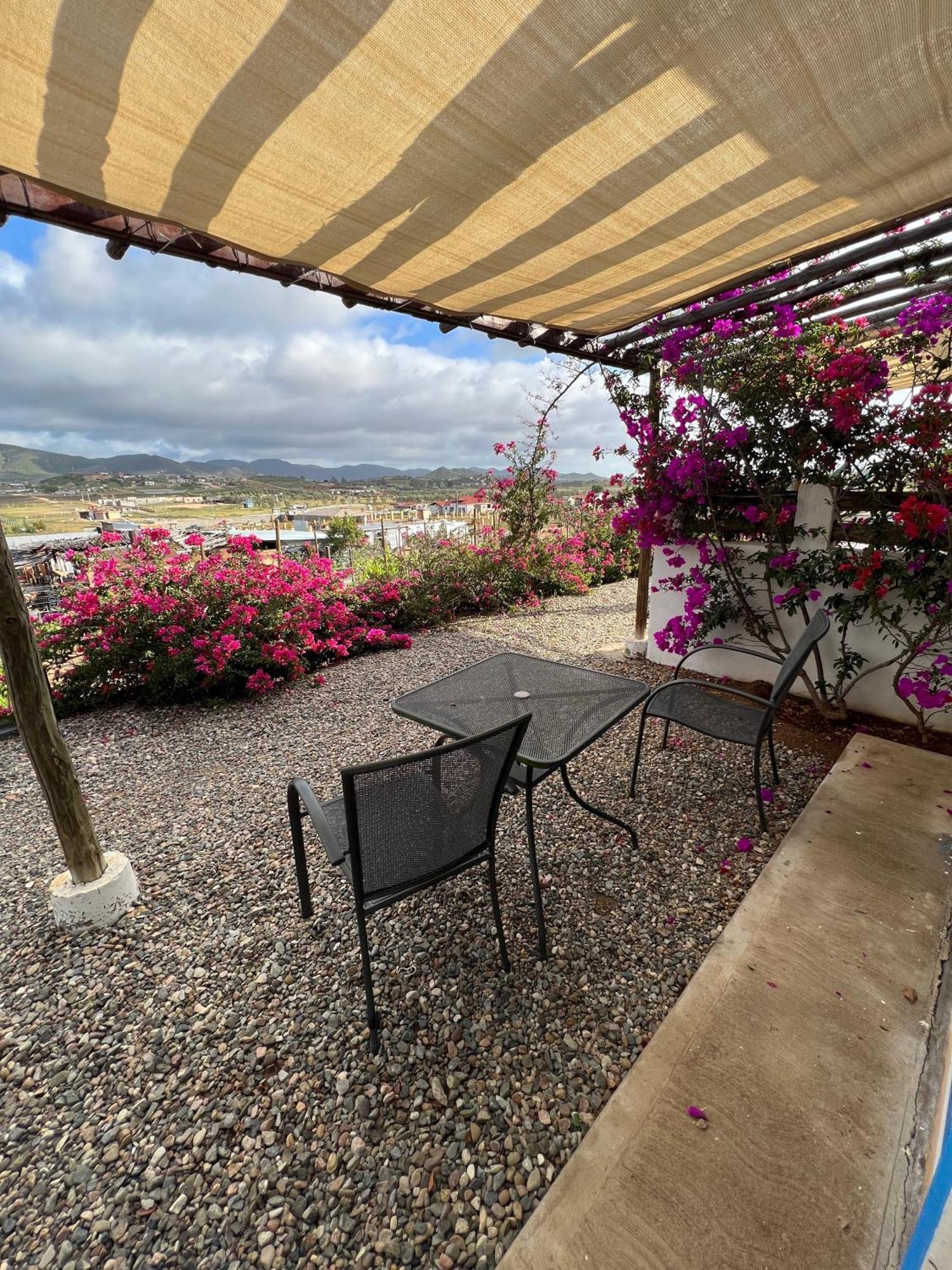 Santerra, Valle De Guadalupe Exteriör bild