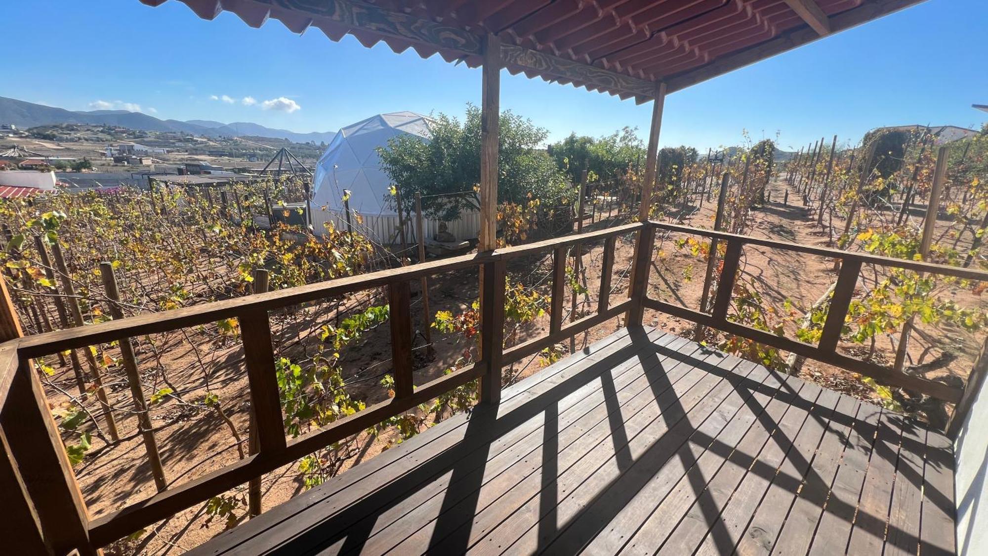 Santerra, Valle De Guadalupe Exteriör bild