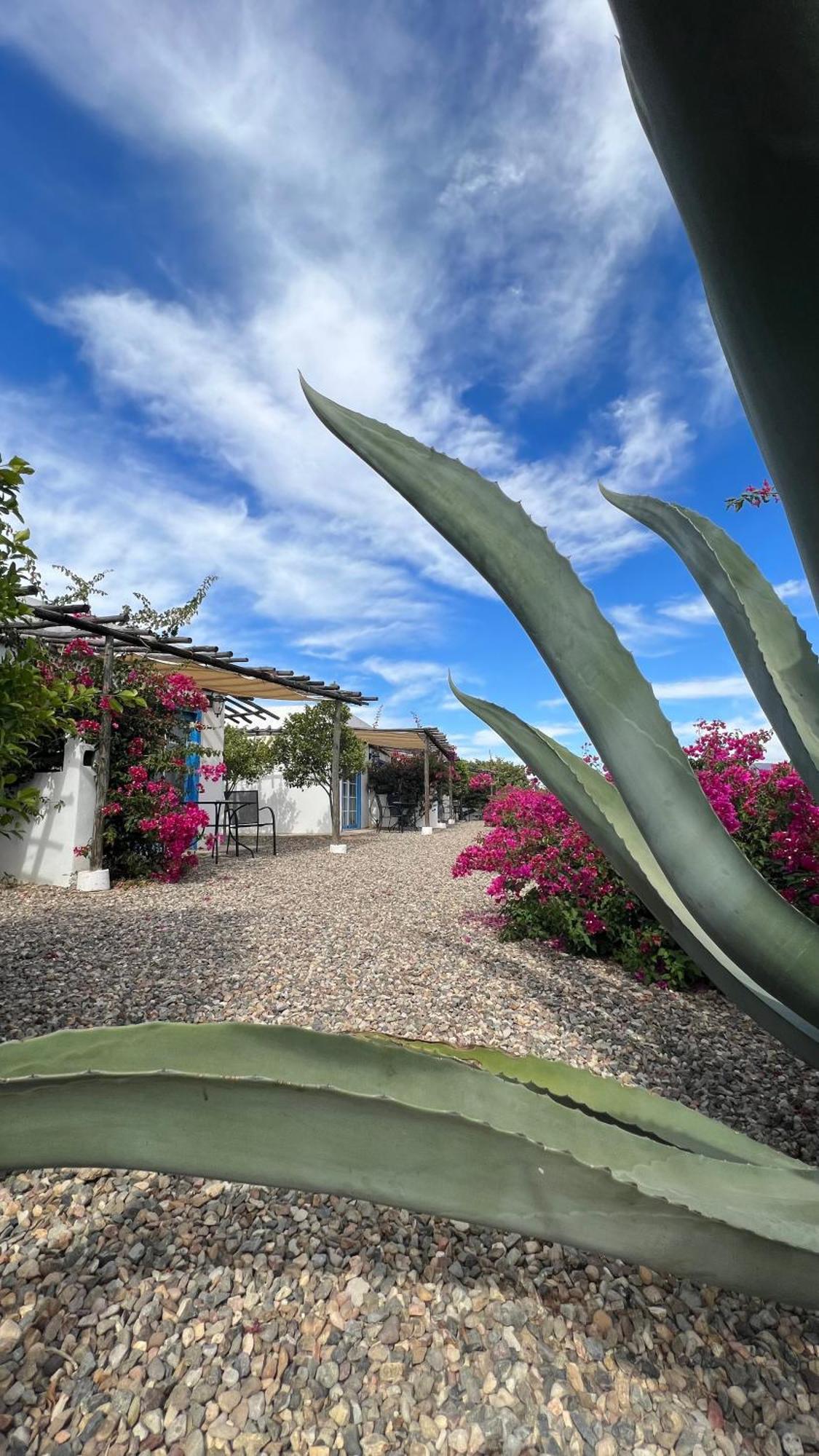 Santerra, Valle De Guadalupe Hotell Exteriör bild