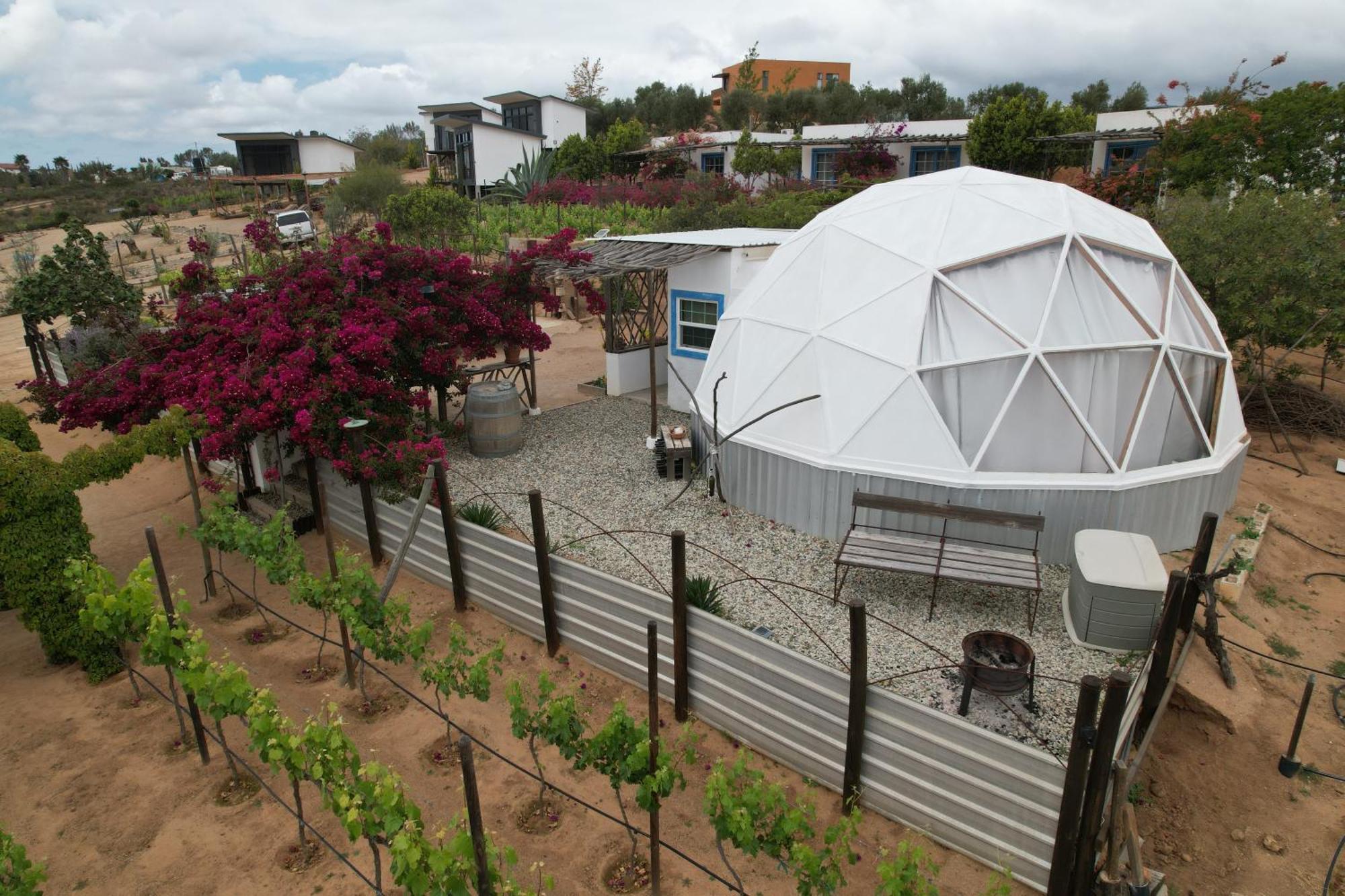 Santerra, Valle De Guadalupe Exteriör bild